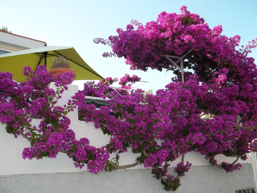 Hotel Villa Cecilia Ischia Exterior foto